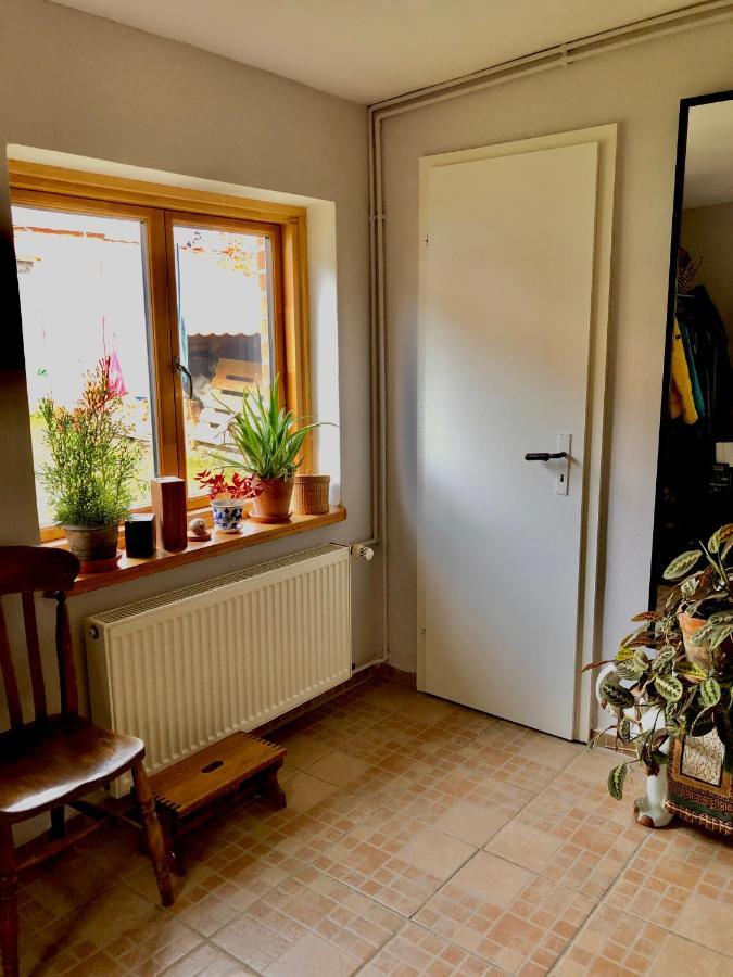 Gemuetliches Studio-Apartment In Ostseenaehe - Cosy Wulfi Probsteierhagen Luaran gambar