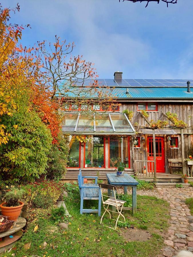 Gemuetliches Studio-Apartment In Ostseenaehe - Cosy Wulfi Probsteierhagen Luaran gambar