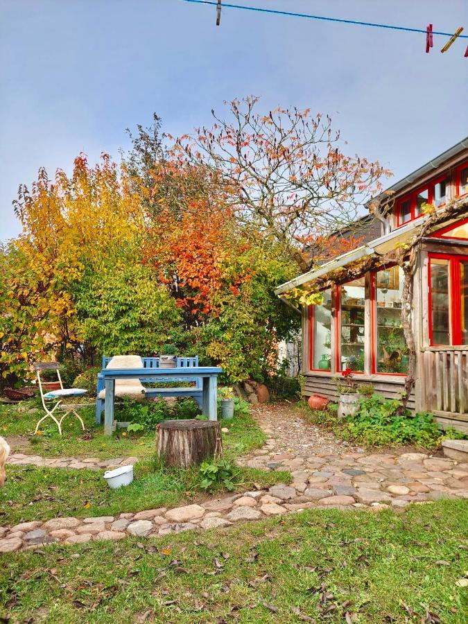 Gemuetliches Studio-Apartment In Ostseenaehe - Cosy Wulfi Probsteierhagen Luaran gambar